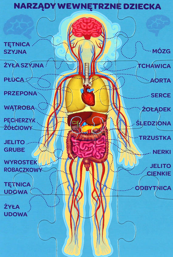 Domyślna nazwa