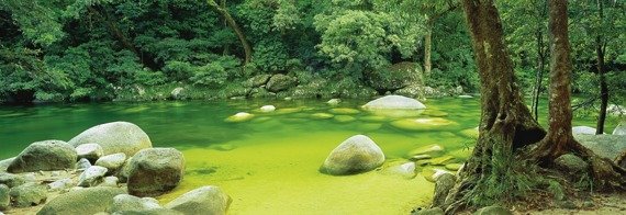 PQ Puzzle 1000 el. MARK GRAY Mossman Gorge/Australia (panorama)