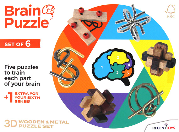 Brain Puzzle (zestaw 6 łamigłówek)