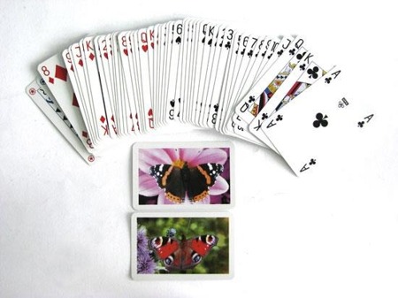 Karty do gry 2x55 listków Nature