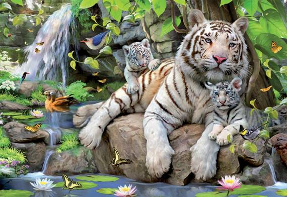Puzzle 1000 el. Białe tygrysy bengalskie
