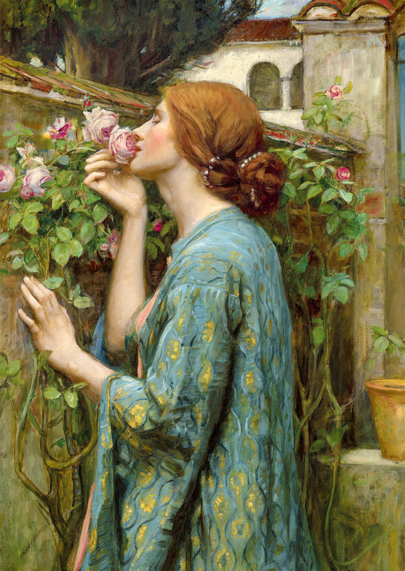 Puzzle 1000 el. Zapach róży, John William Waterhouse