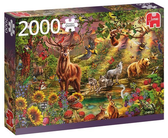 Puzzle 2000 el. PC Zachód słońca w magicznym lesie