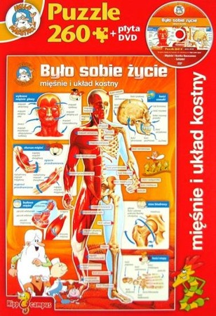 Puzzle Było sobie życie - Mięśnie i układ kostny + DVD